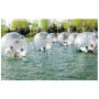 Water Walking Ball