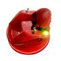 Children Electric Bumper Car