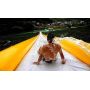 Slip N Slide