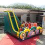 Castle With Slide