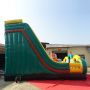 Castle With Slide