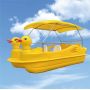 Pedal boat