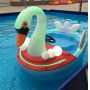 swan pedal boat