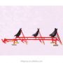 snow bike