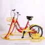 snow bike