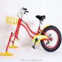 snow bike